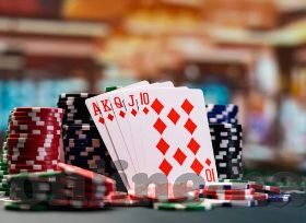 top1体育网页版登录入口-探索Top1体育网页版登录入口，便捷体验与丰富内容的结合